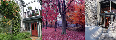 home header